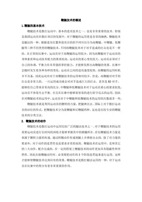 鞭腿技术的概述
