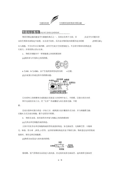 届高三生物复习专题培优课巧用模型分析物质穿膜问题
