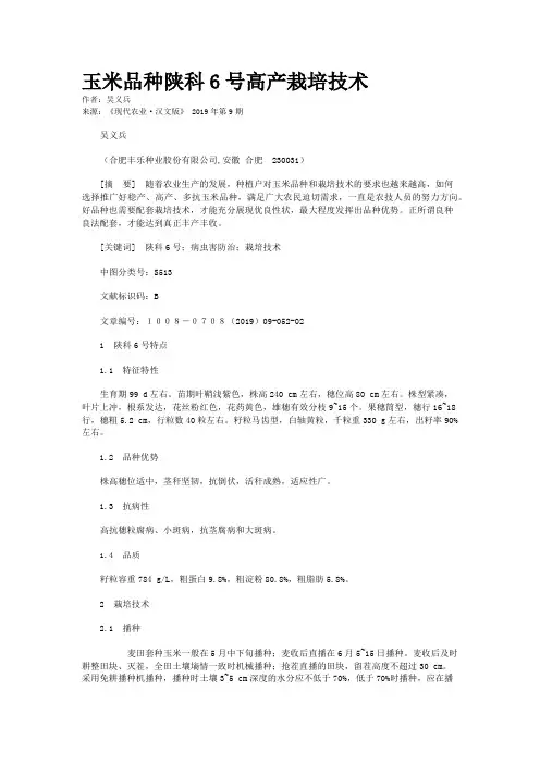 玉米品种陕科6号高产栽培技术