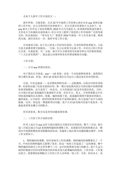 最新企业个人新年工作计划