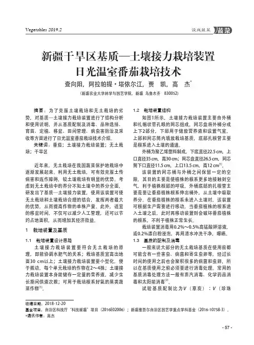 新疆干旱区基质—土壤接力栽培装置日光温室番茄栽培技术