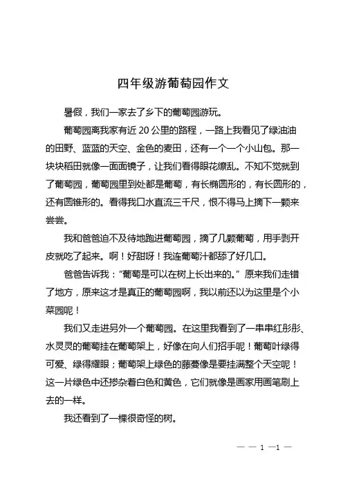 四年级游葡萄园作文