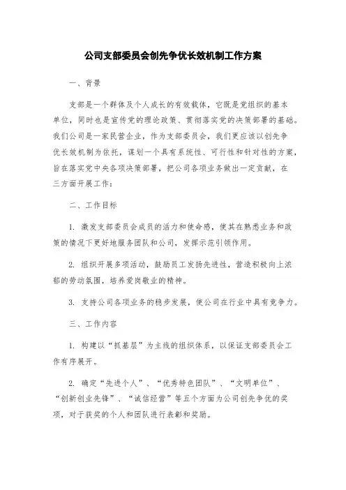 公司支部委员会创先争优长效机制工作方案