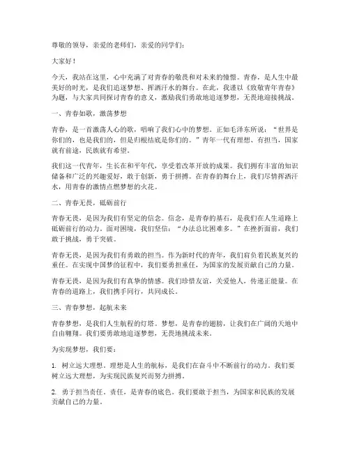 致敬青年青春演讲稿范文