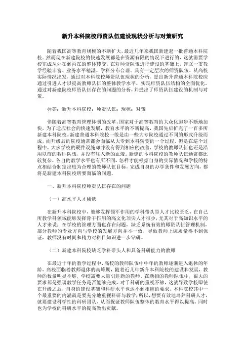 新升本科院校师资队伍建设现状分析与对策研究