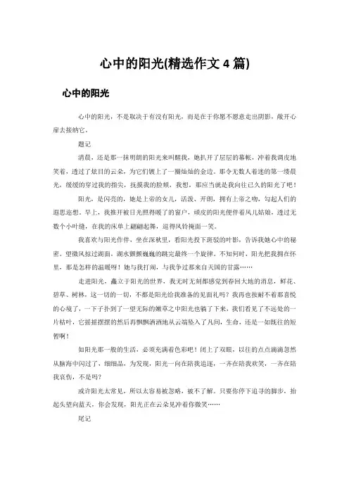 心中的阳光(精选作文4篇)