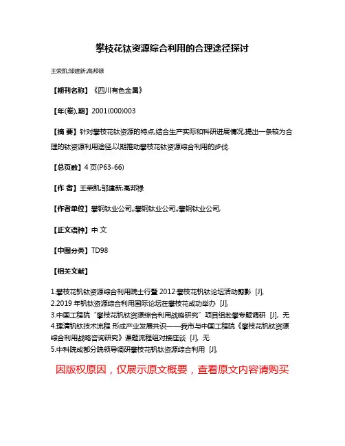 攀枝花钛资源综合利用的合理途径探讨