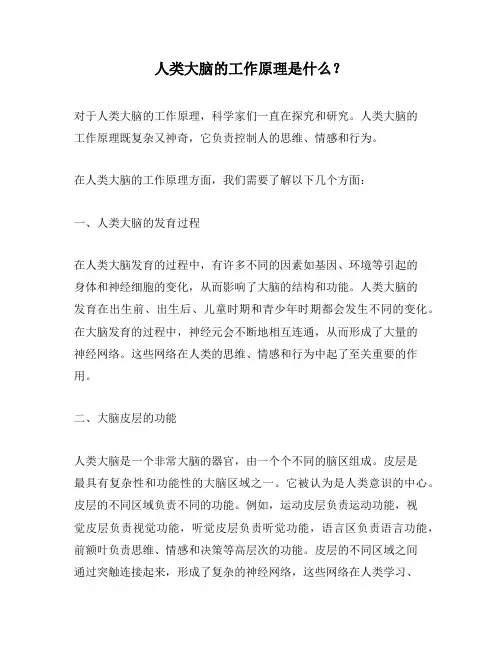 人类大脑的工作原理是什么？