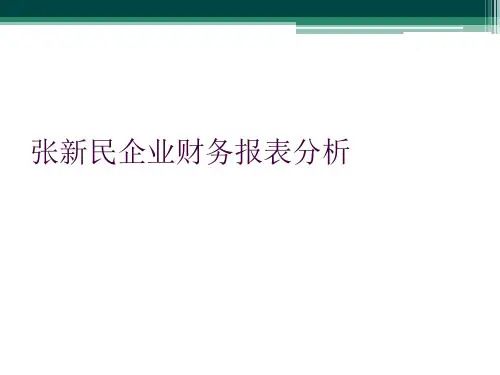 张新民企业财务报表分析