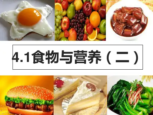 食物与营养(第2课时)—浙教版九年级科学上册课件