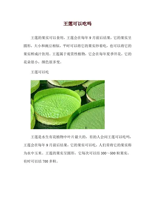 王莲可以吃吗