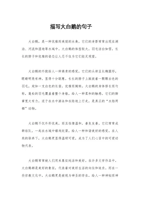 描写大白鹅的句子