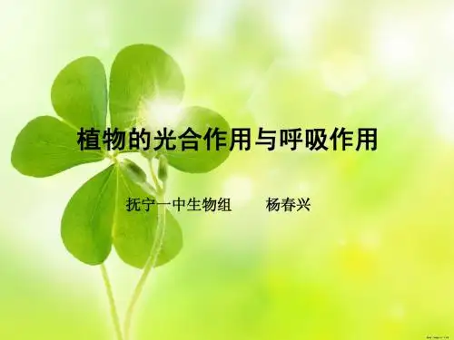 光合作用与呼吸作用课件