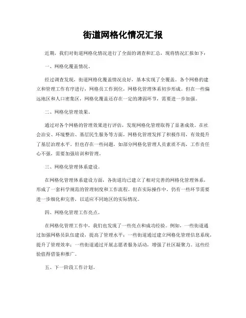 街道网格化情况汇报