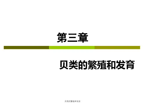 贝类的繁殖和发育PPT课件