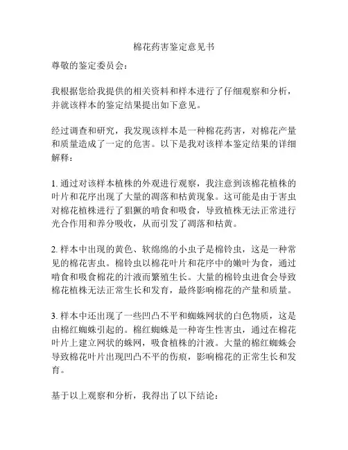棉花药害鉴定意见书