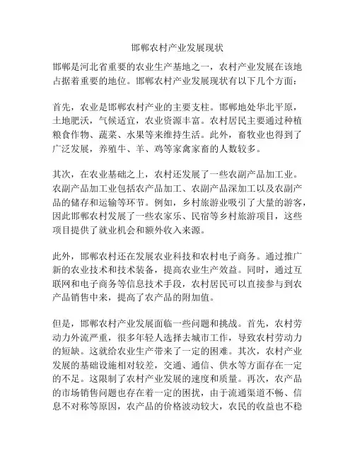 邯郸农村产业发展现状