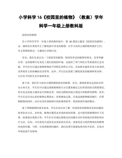 小学科学16《校园里的植物》(教案)学年科学一年级上册教科版