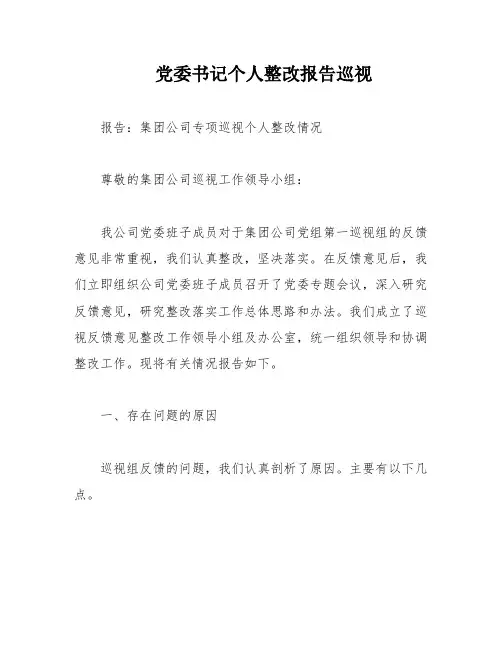 党委书记个人整改报告巡视
