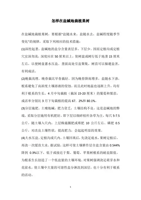 怎样在盐碱地栽植果树