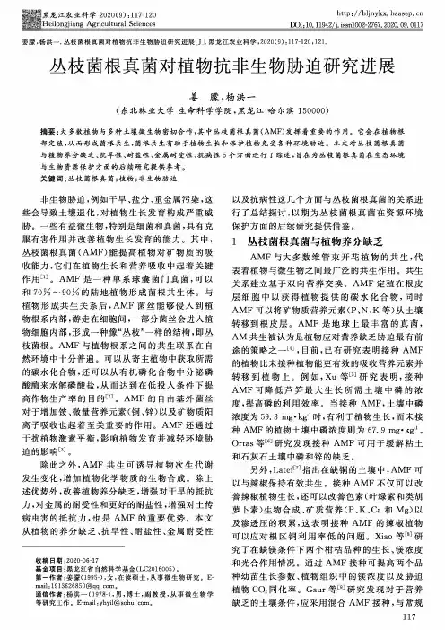 丛枝菌根真菌对植物抗非生物胁迫研究进展