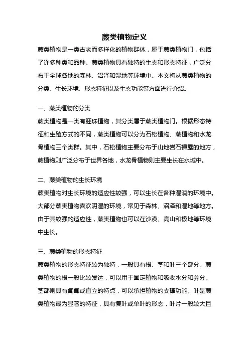 蕨类植物定义