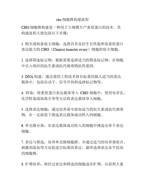 cho细胞株构建流程