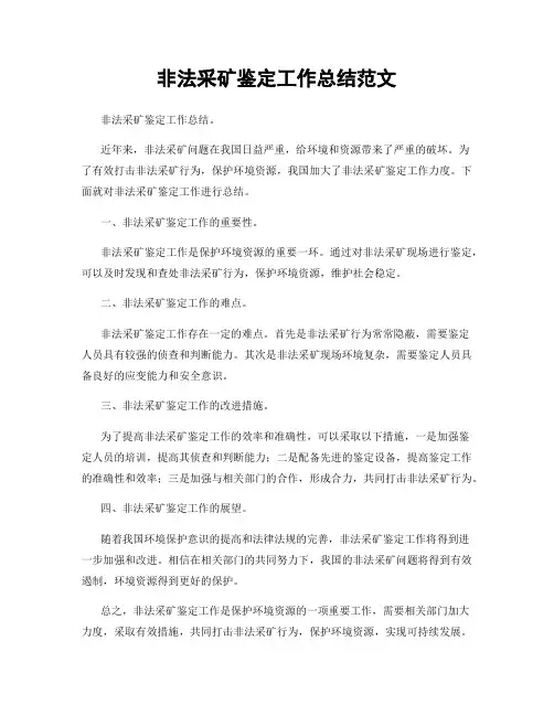 非法采矿鉴定工作总结范文