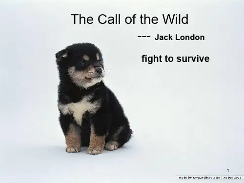 Unit 7 The-Call-of-the-Wildppt课件