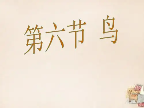 八年级生物上册 5.1.6 鸟课件 (新版)新人教版