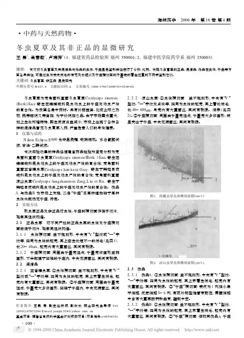 冬虫夏草及其非正品的显微研究