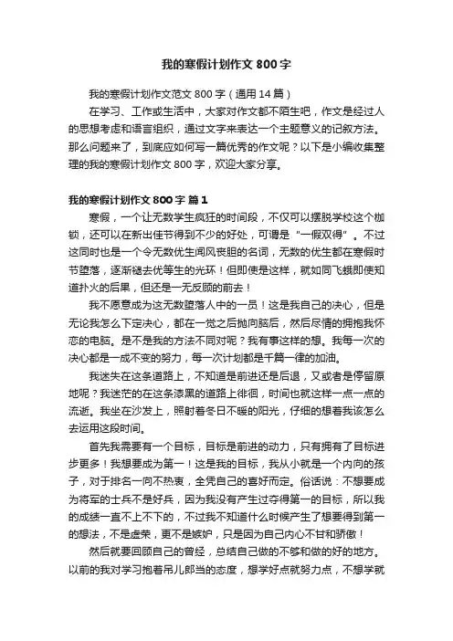 我的寒假计划作文800字