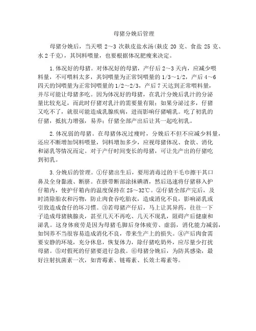 母猪分娩后管理