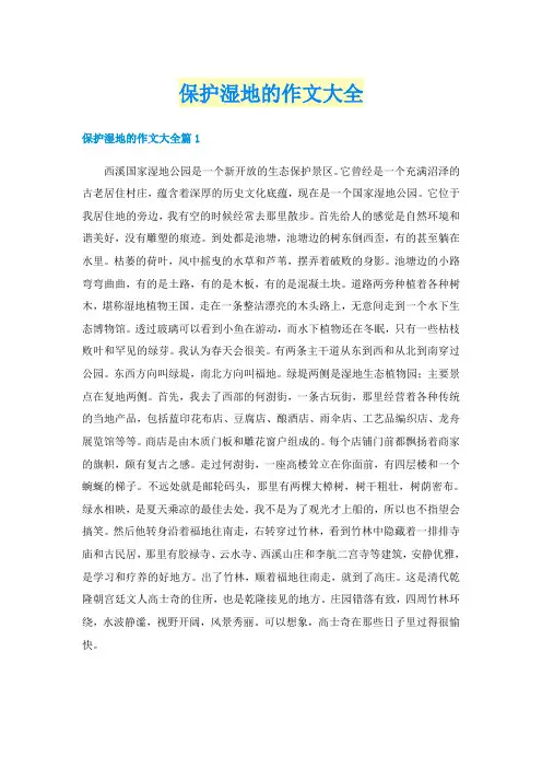 保护湿地的作文大全