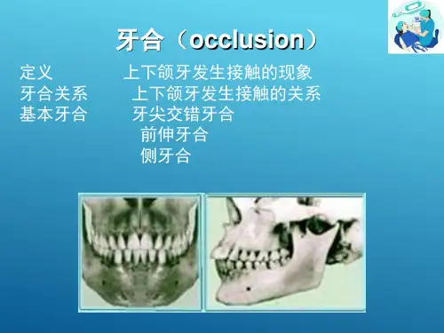 口腔生理—颌位(口腔解剖生理学课件)
