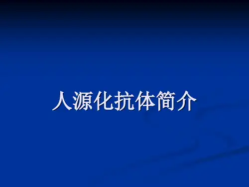 人源化单抗