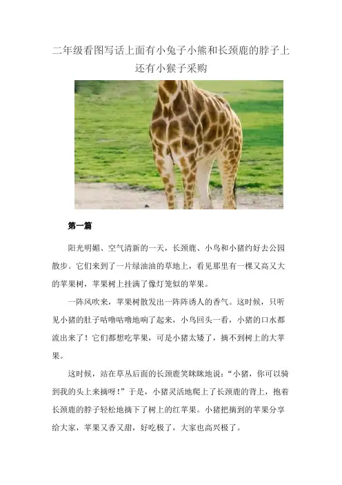 二年级看图写话上面有小兔子小熊和长颈鹿的脖子上还有小猴子采购