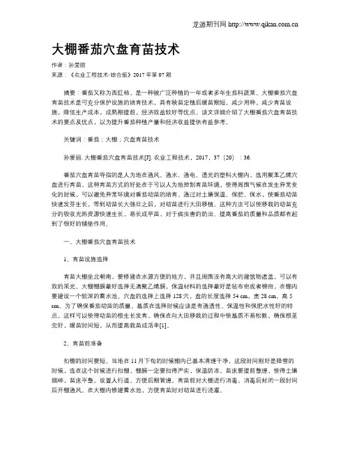大棚番茄穴盘育苗技术