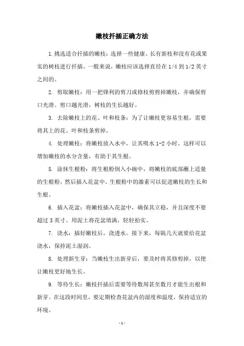 嫩枝扦插正确方法