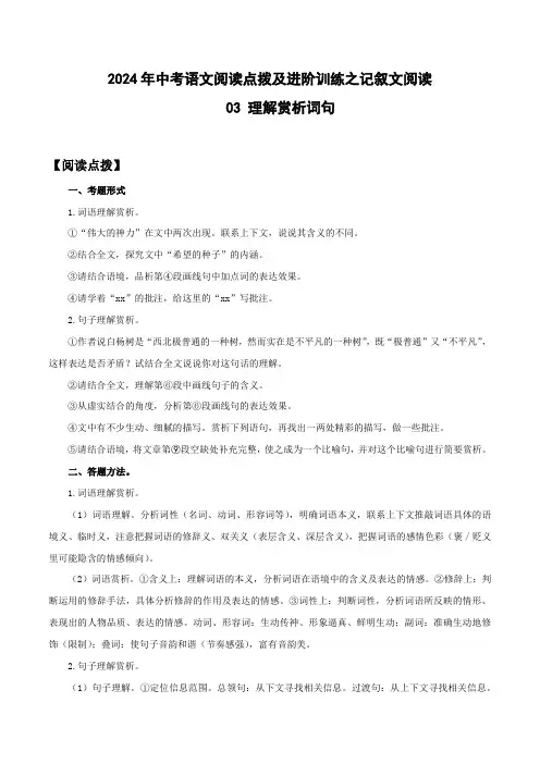 理解赏析词句-2024年中考语文阅读点拨及进阶训练