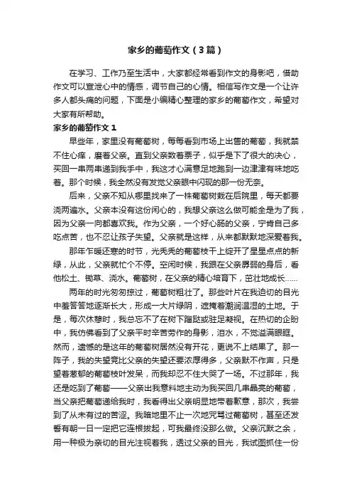 家乡的葡萄作文（3篇）