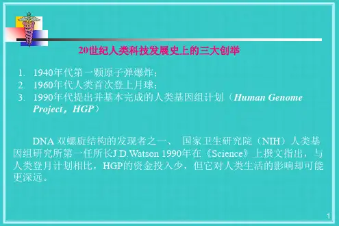 基因组与比较基因组学