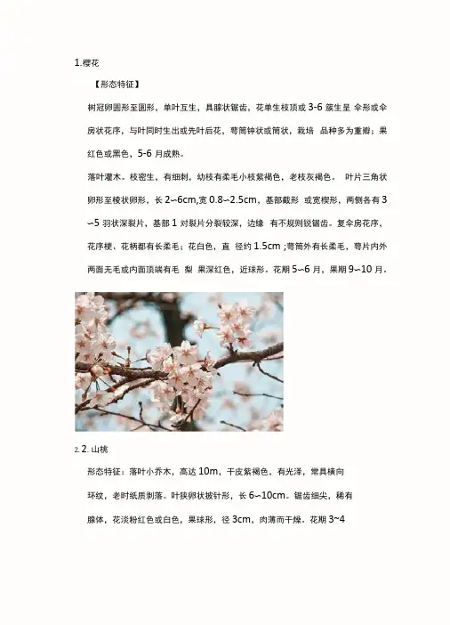 十种常见的动植物图文并茂的介绍