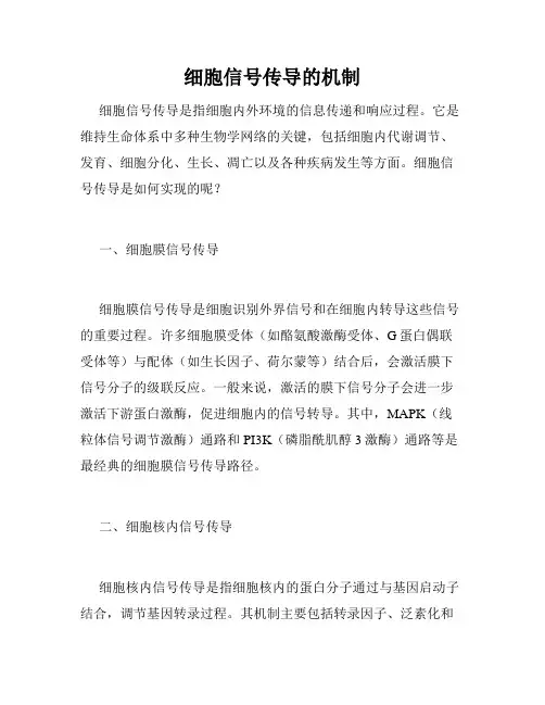 细胞信号传导的机制