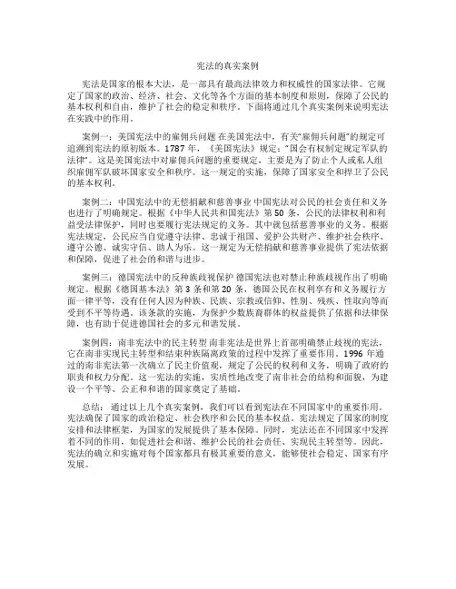 宪法的真实案例