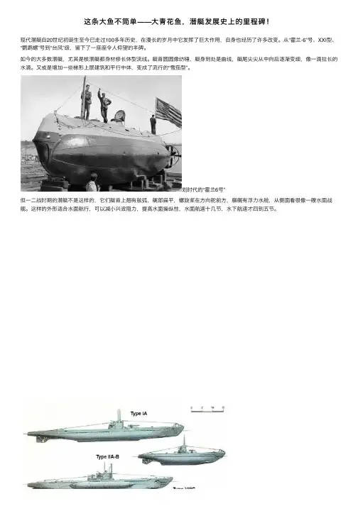 这条大鱼不简单——大青花鱼，潜艇发展史上的里程碑！