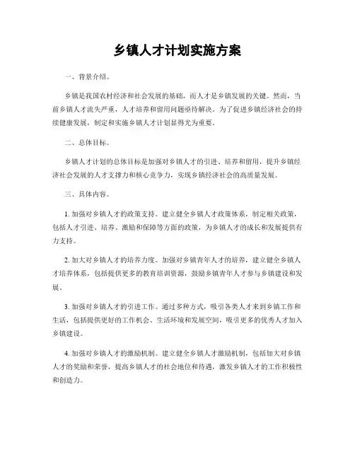 乡镇人才计划实施方案