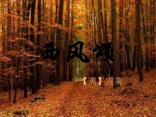 2015-2016学年度九年级语文下册 第11课《西风颂》课件 长春版