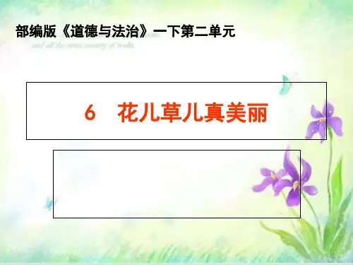 【部编版】一年级下册道德与法治《花儿草儿真美丽》教学课件1