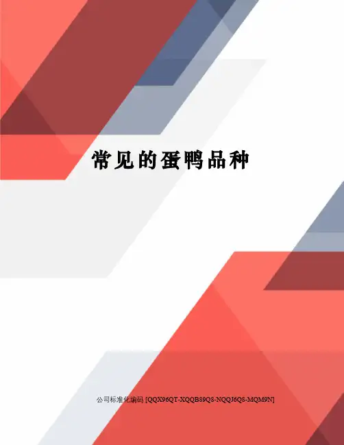 常见的蛋鸭品种
